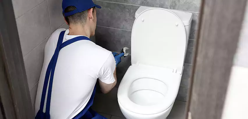 Toilet Lid Replacement in Chesapeake