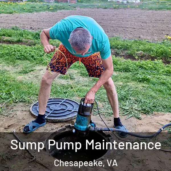  Sump Pump Maintenance Chesapeake, VA