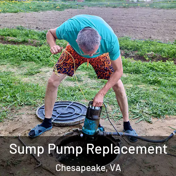  Sump Pump Replacement Chesapeake, VA