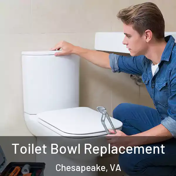  Toilet Bowl Replacement Chesapeake, VA